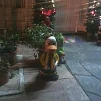 Mario S.