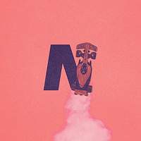 Nishil C.