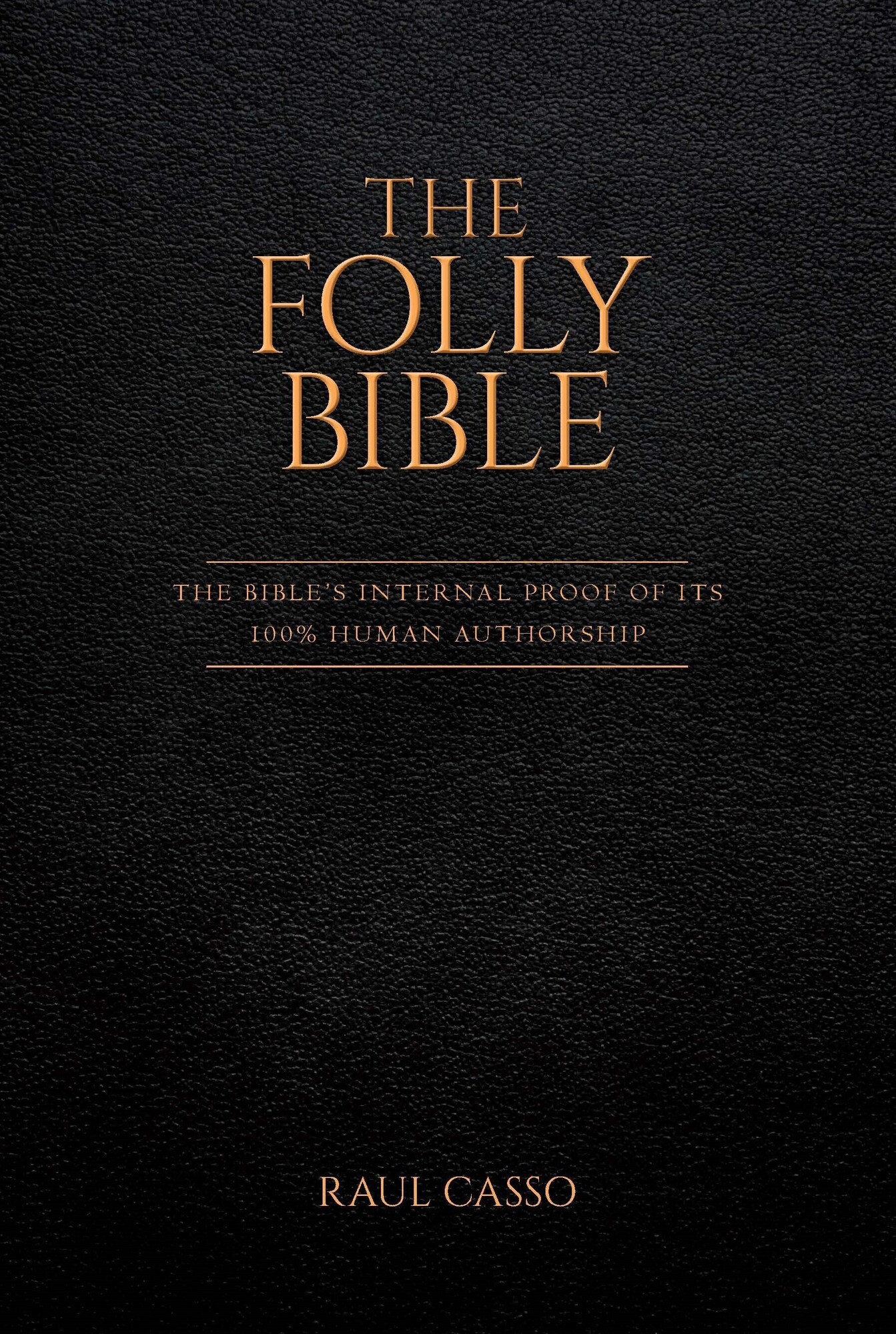 The Folly Bible by Raul Casso Reader reviews Reedsy Discovery