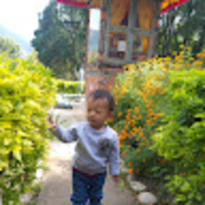 Ash Bahadur Subba