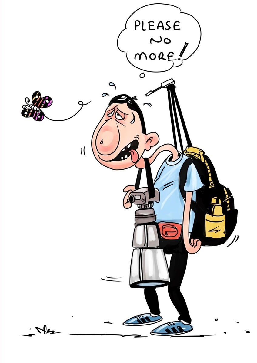 Aytul Dönmez, Designer in London, UK Reedsy