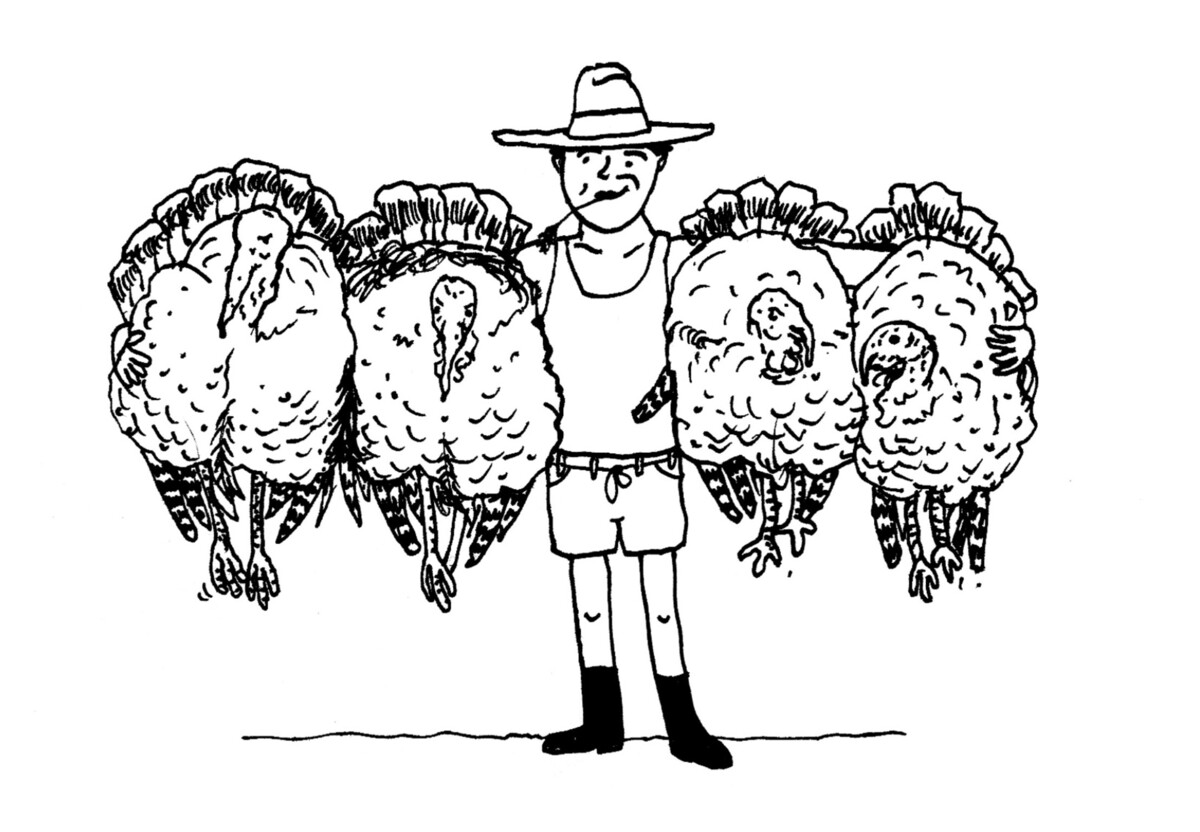 Harry Malt, Designer in London, UK Reedsy