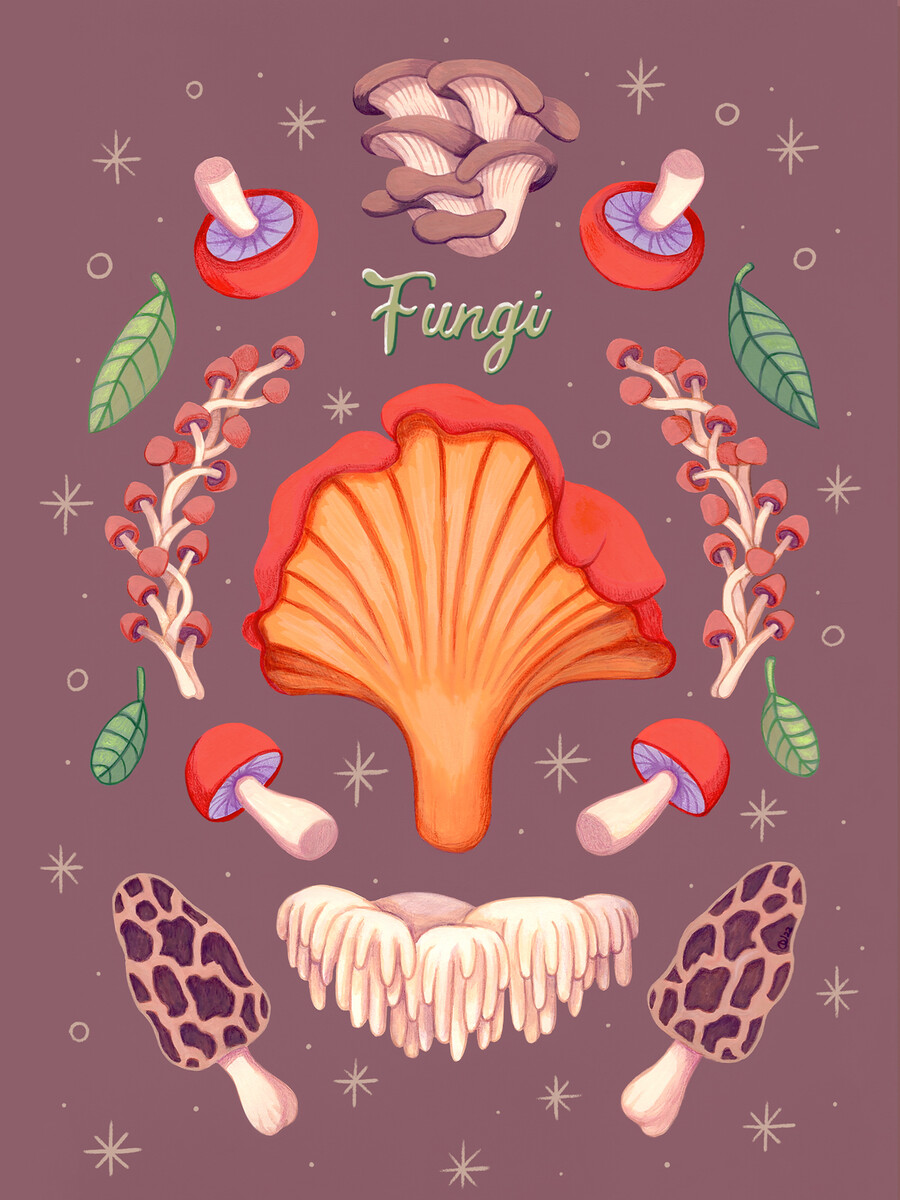 Olga Urbanowicz Designer In Canada Reedsy