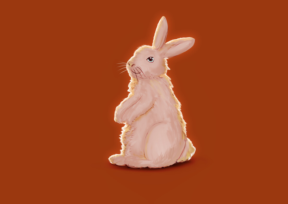 Dave DHD, Designer in London, UK Reedsy