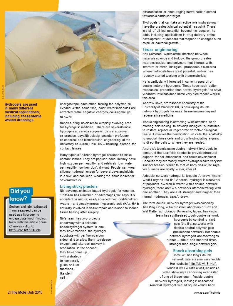 Bea Perks, Ghostwriter in Cambridge, UK Reedsy