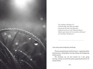 Portfolio piece 1