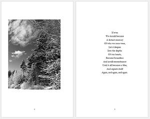 Portfolio piece 3