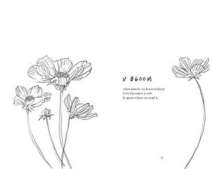 Portfolio piece 4
